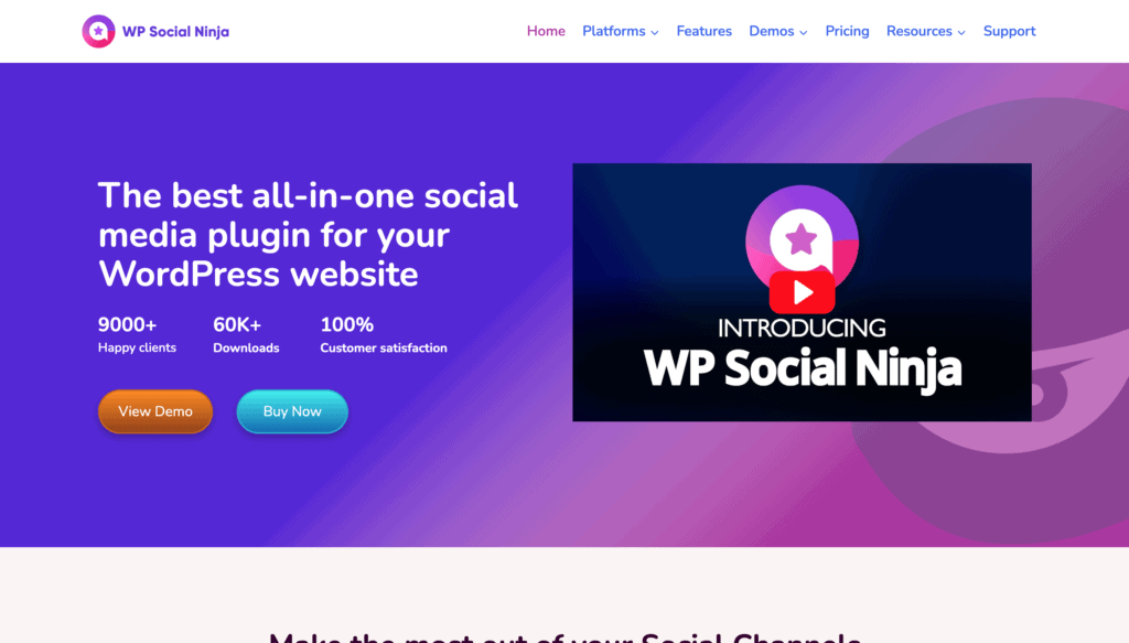 WP Social Ninja Homepage